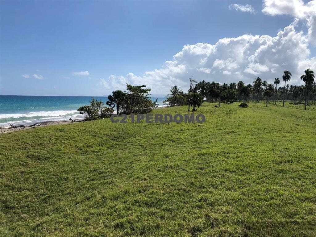 Beachfront Land for Sale, Las Cañas, Gaspar Hernández - Image 3