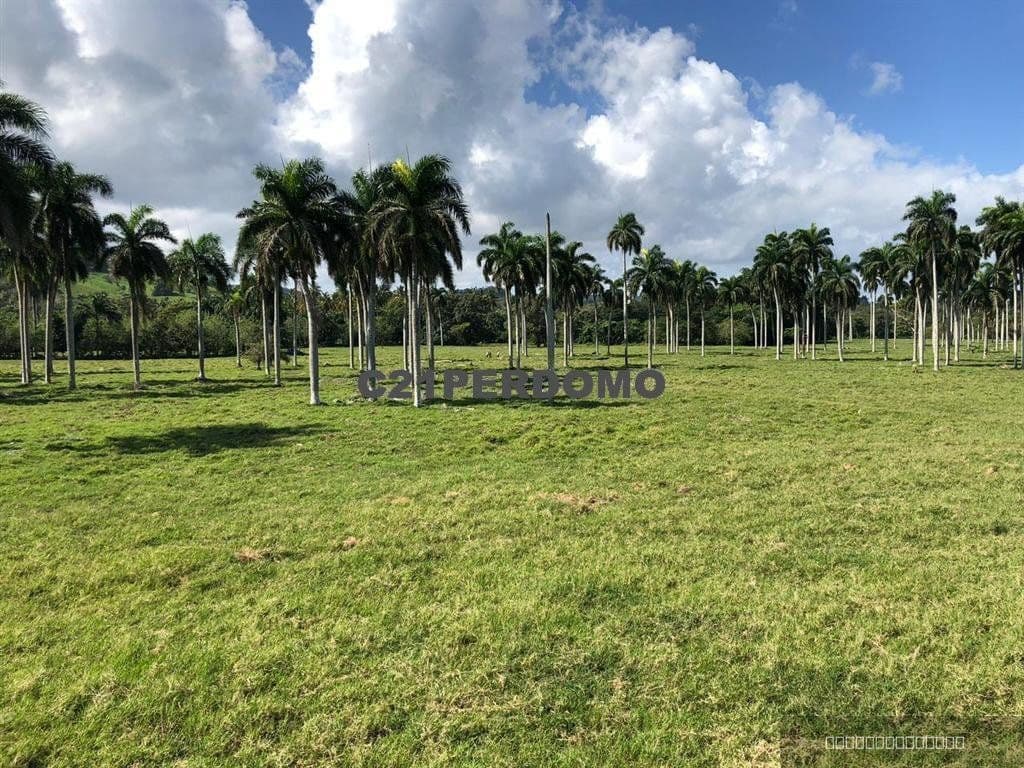 Beachfront Land for Sale, Las Cañas, Gaspar Hernández - Image 4