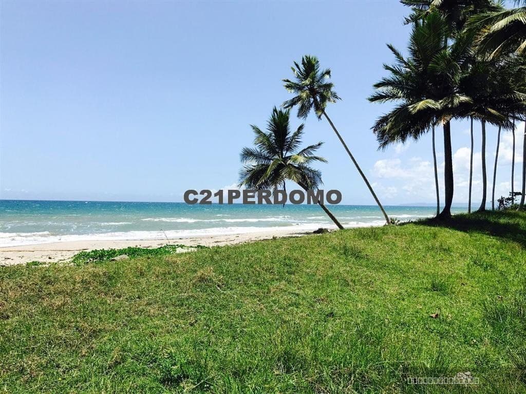 Beachfront Land for Sale, Las Cañas, Gaspar Hernández - Image 5