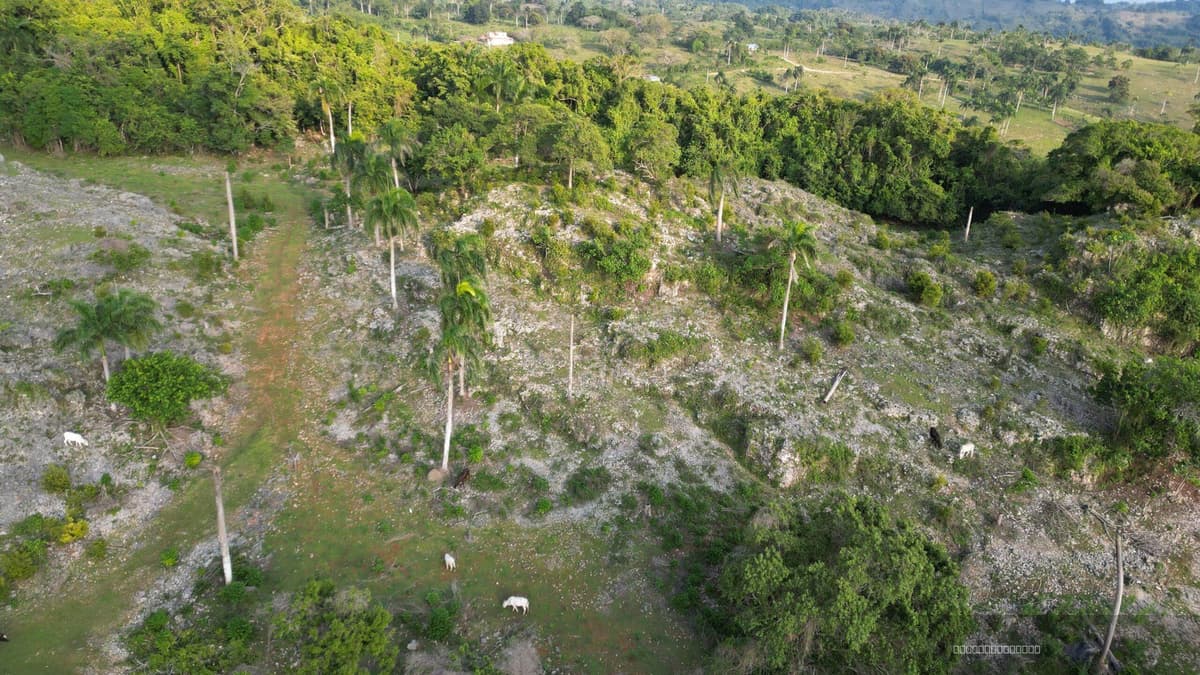Oceanview Development Lot for sale in Río San Juan with Financing - Image 1