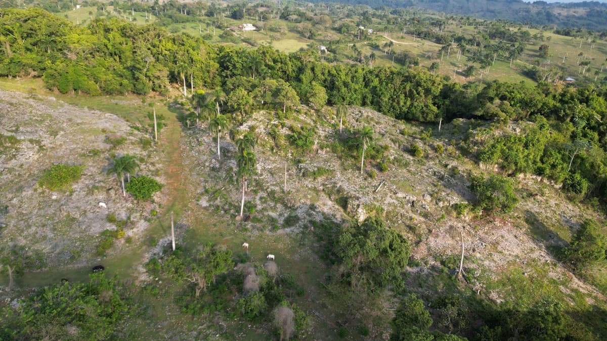 Oceanview Development Lot for sale in Río San Juan with Financing - Image 3