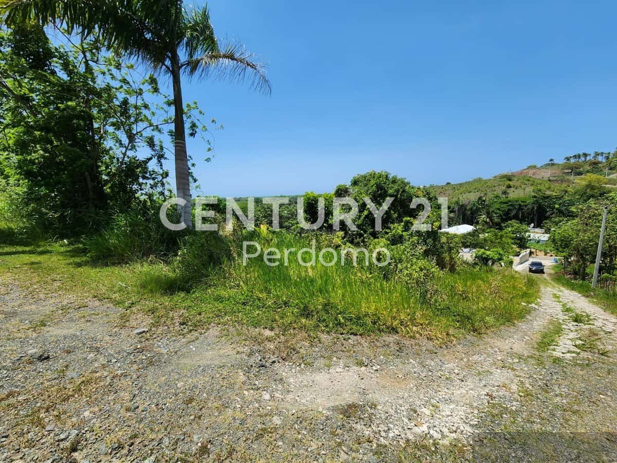 Oceanview Residential Lot for Sale in Gaspar Hernández, Espaillat Near Beach