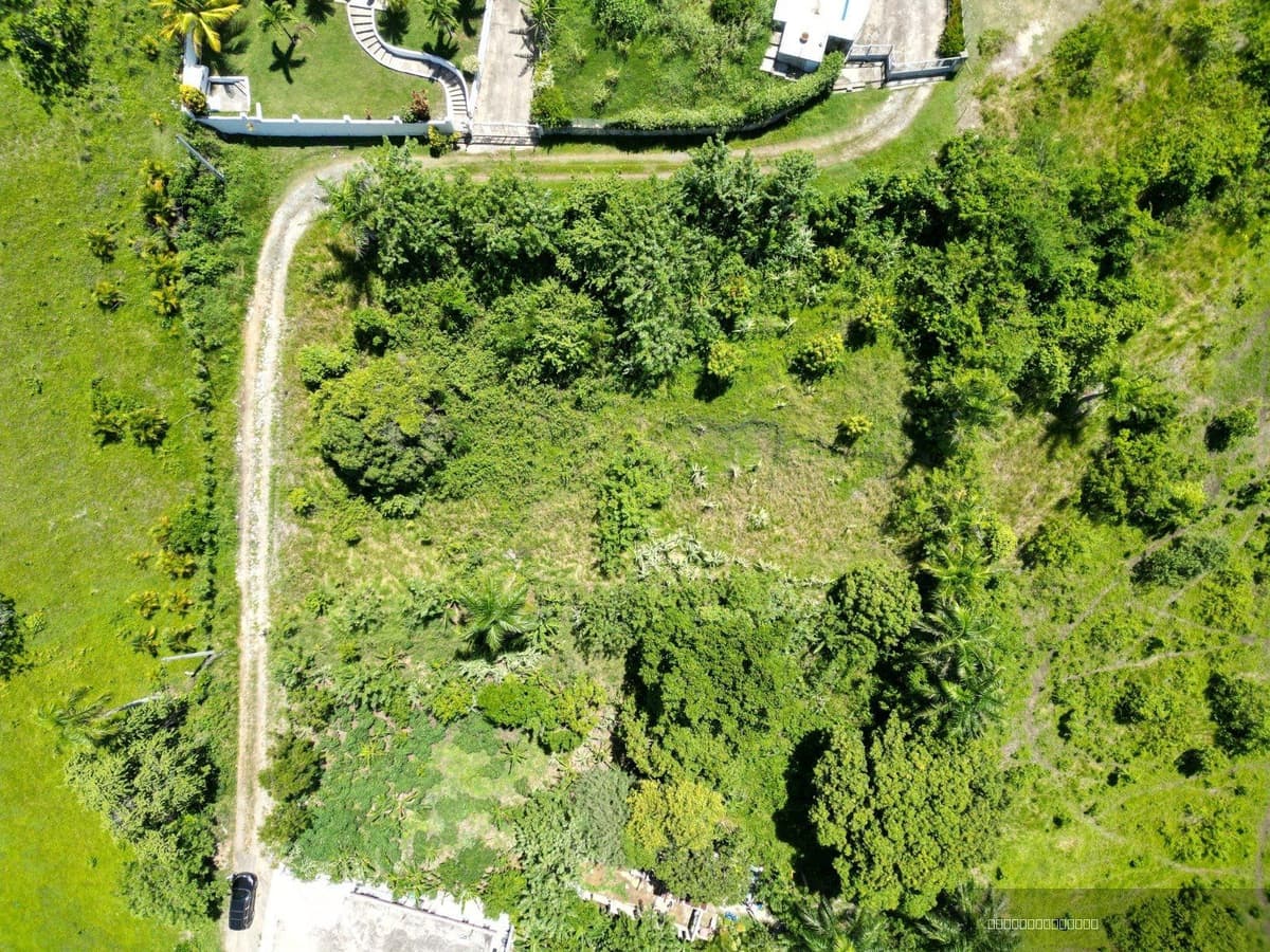Oceanview Residential Lot for Sale in Gaspar Hernández, Espaillat Near Beach - Image 2
