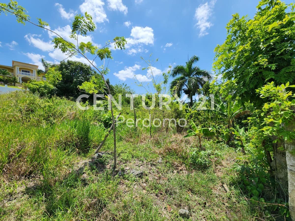 Oceanview Residential Lot for Sale in Gaspar Hernández, Espaillat Near Beach - Image 5