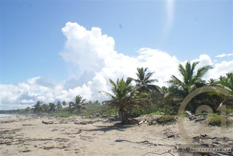 Exclusive Beachfront Lot for sale in La Boca, Sabaneta - Image 2