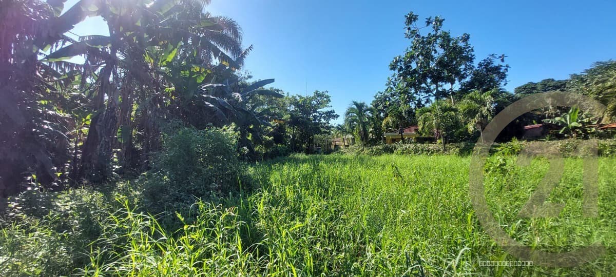 Residential Lot for sale in Sabaneta de Yásica, Sosúa - Image 3