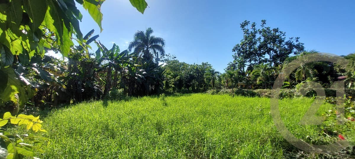 Residential Lot for sale in Sabaneta de Yásica, Sosúa - Image 4