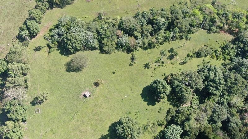 24.85-Acre Farm Land in La Cantera | Eco-Tourism Potential - Image 4