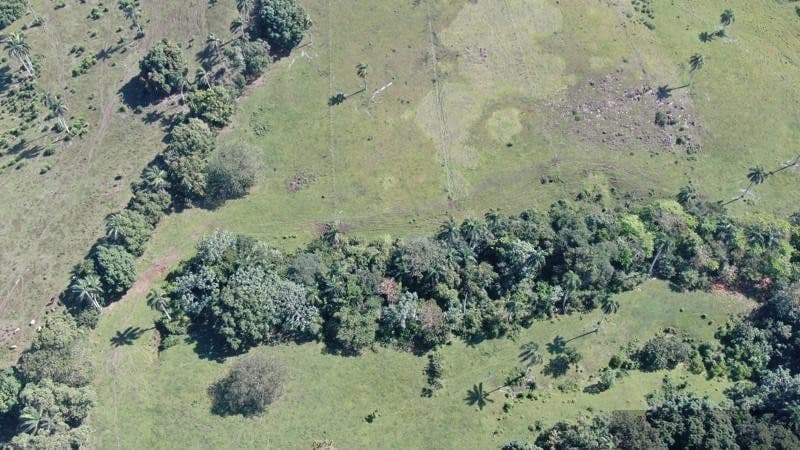 24.85-Acre Farm Land in La Cantera | Eco-Tourism Potential - Image 5