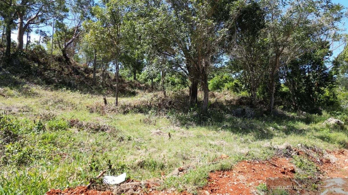 Three Building Lots for Sale in La Mulata, Sosúa | Development Potential - Image 4