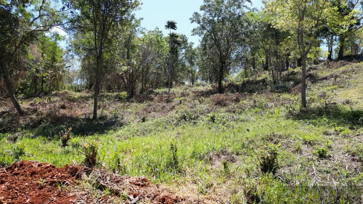 Three Building Lots for Sale in La Mulata, Sosúa | Development Potential - Image 5