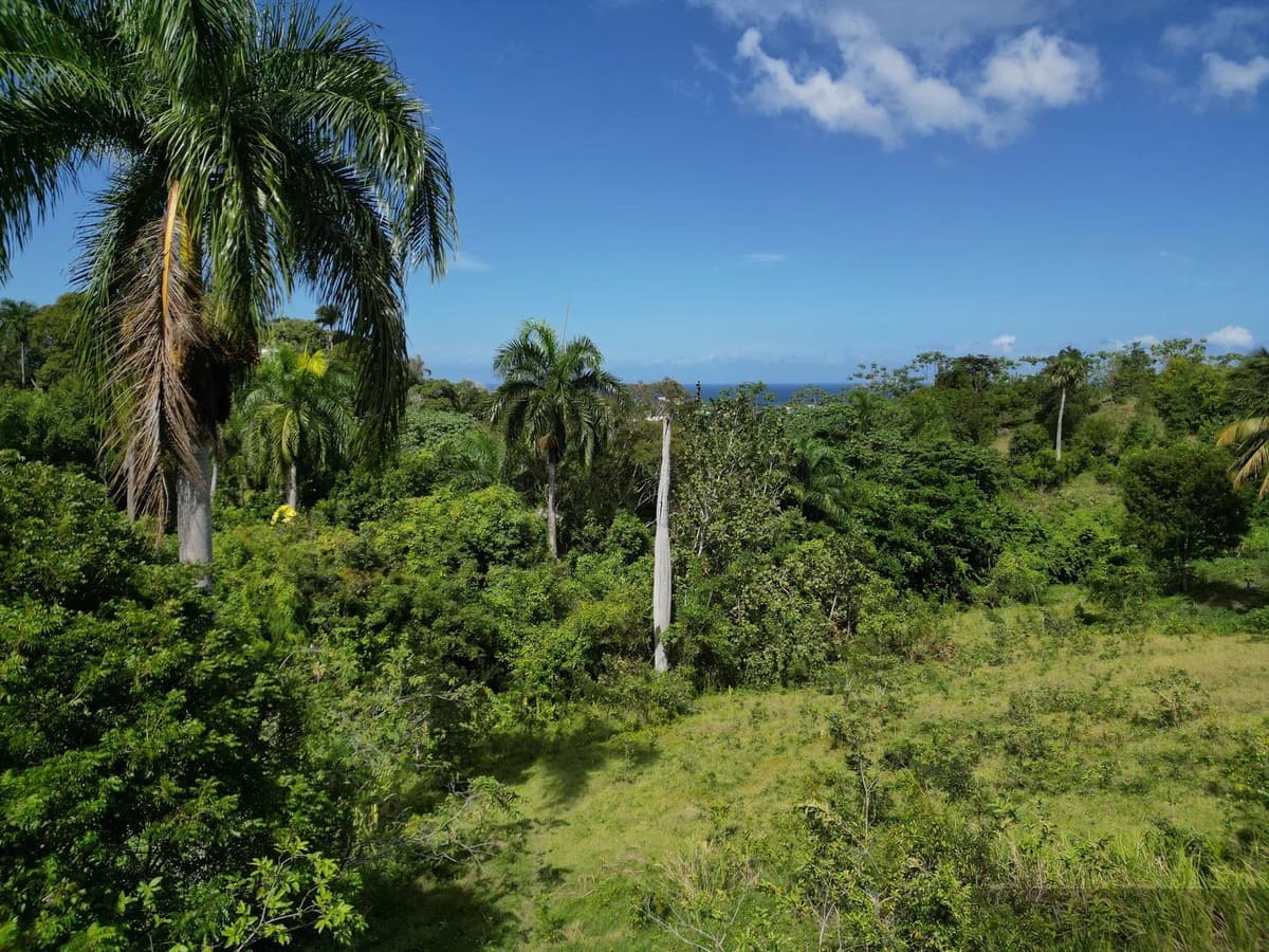 Ocean View Land for Sale in La Uva, Puerto Plata - Image 3