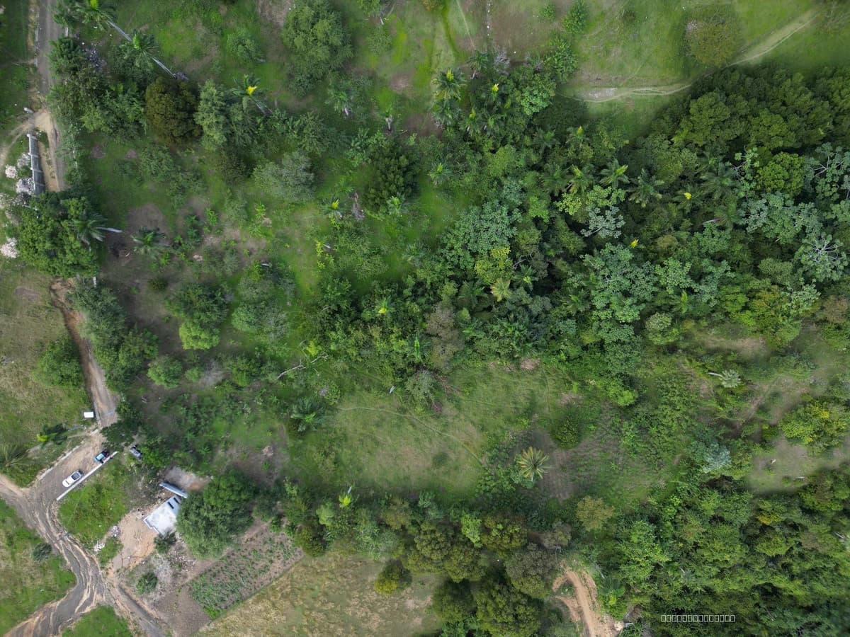 Ocean View Land for Sale in La Uva, Puerto Plata - Image 4