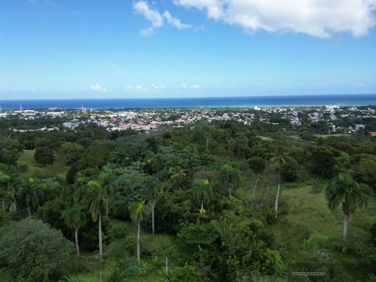 Ocean View Land for Sale in La Uva, Puerto Plata - Image 5