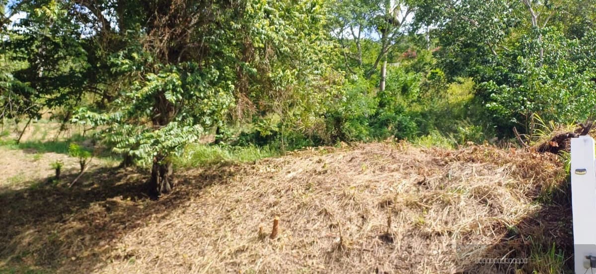 Residential Lot for sale in Terramar Estates, Sosúa - Image 4