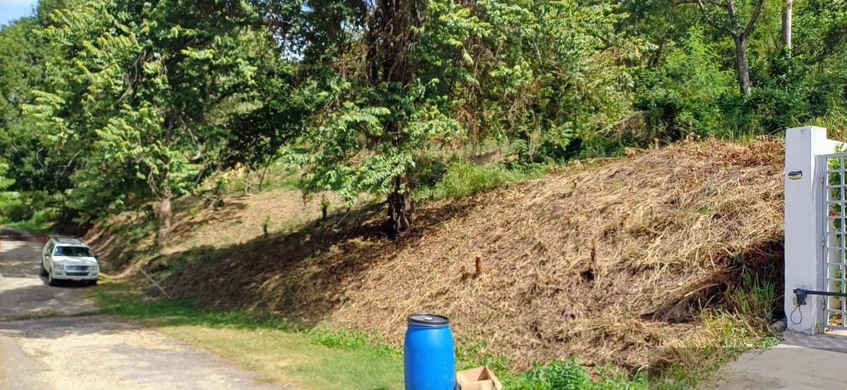 Residential Lot for sale in Terramar Estates, Sosúa - Image 5
