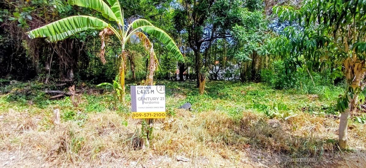 Building Lot for sale in Perla Marina, Cabarete Near the Beach - Image 2
