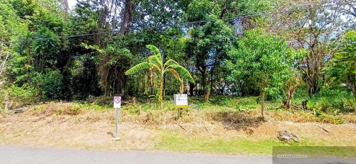 Building Lot for sale in Perla Marina, Cabarete Near the Beach - Image 3