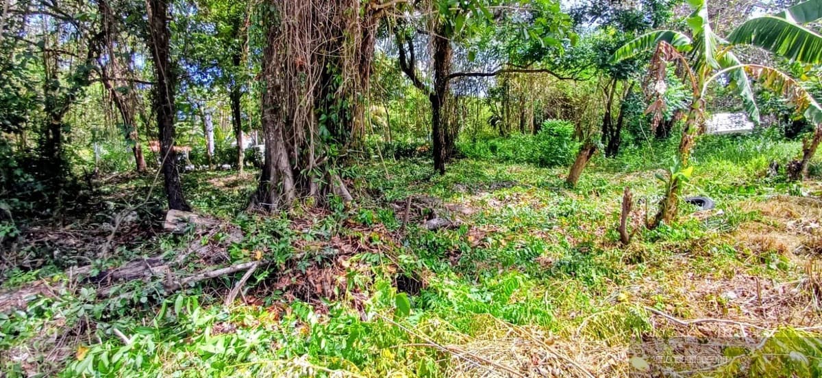 Building Lot for sale in Perla Marina, Cabarete Near the Beach - Image 4