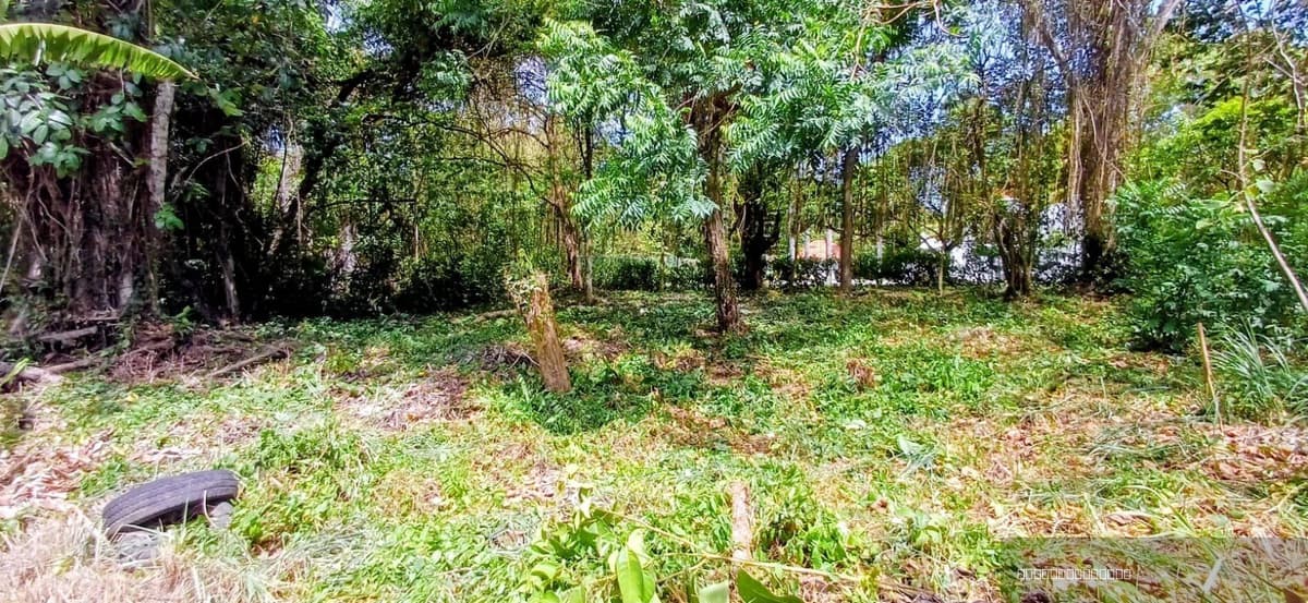 Building Lot for sale in Perla Marina, Cabarete Near the Beach - Image 5