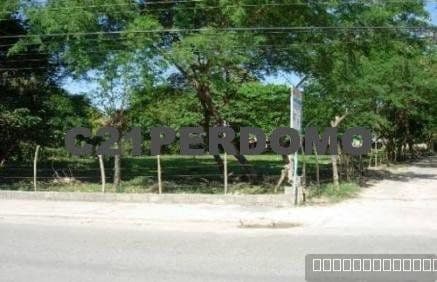 Development lot for sale in Las Terrenas: Unique opportunity - Image 3