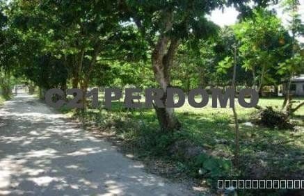 Development lot for sale in Las Terrenas: Unique opportunity - Image 4