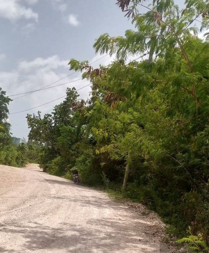 Nice Land Near the Center of Las Terrenas - Image 3