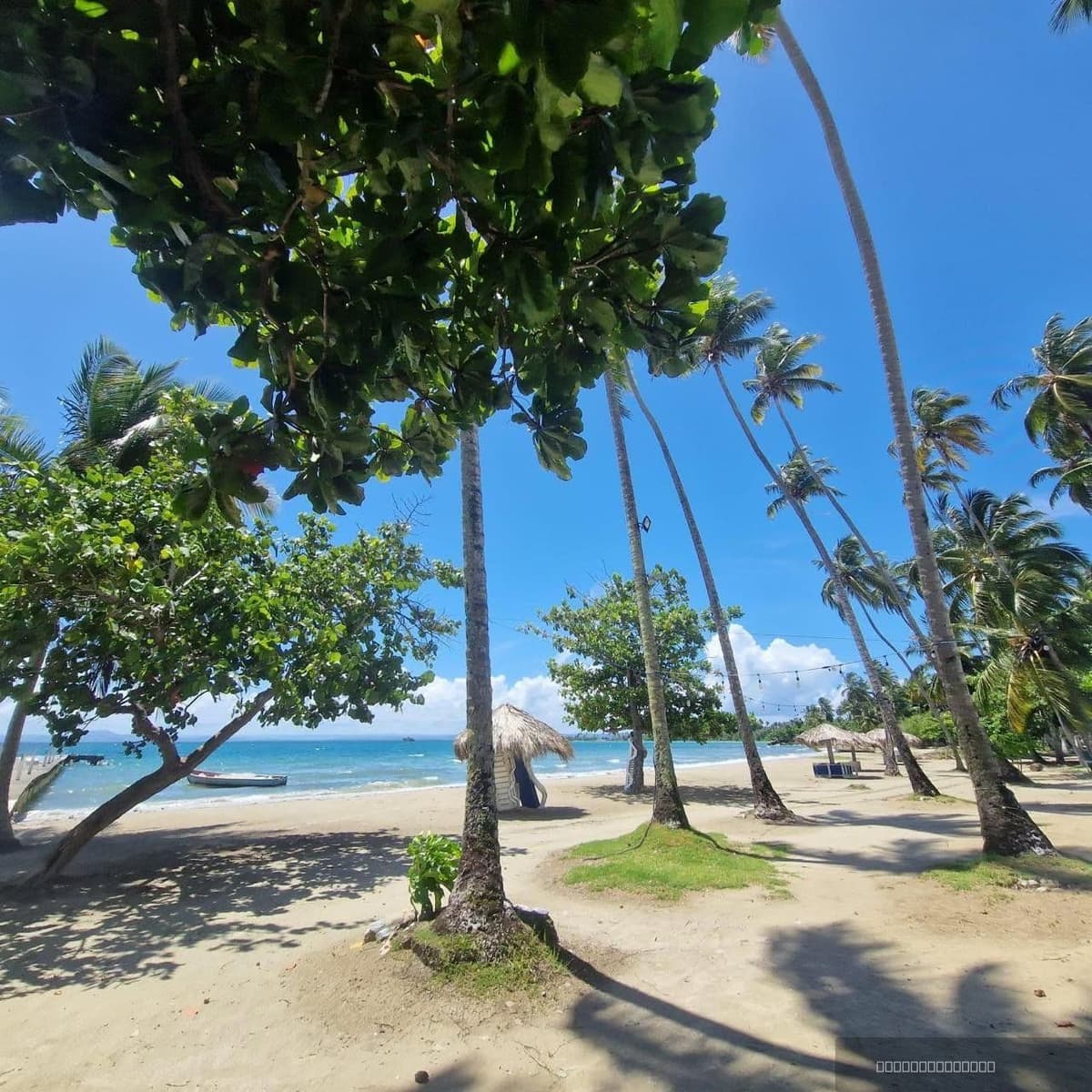 House with 3 apartments for sale in Samaná - Image 4