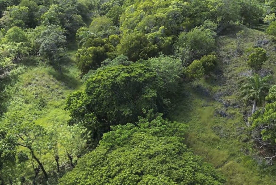 76 Acres Of Awesome Development Land For Sale In Sosua -