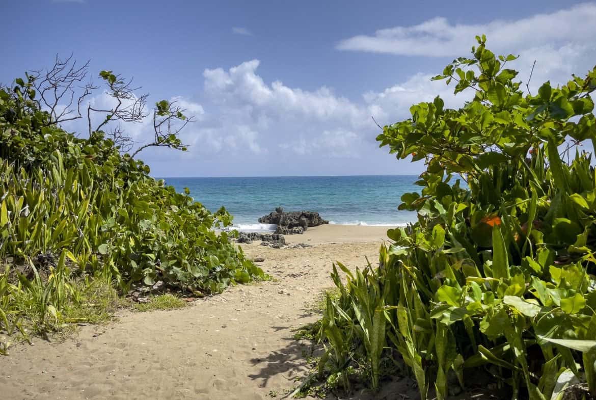For Sale! Charming B&B Just Steps To The Beach