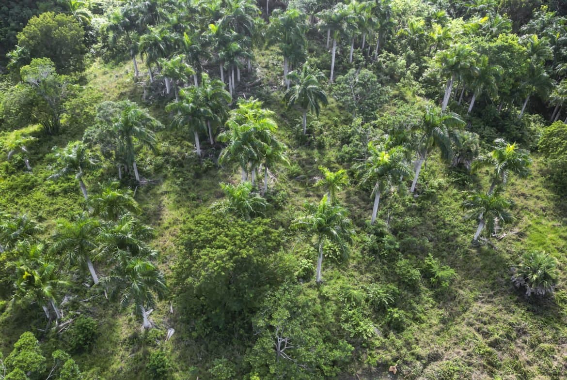 Premium 2,295 m² Ocean-View Lot in Panorama Village – Exclusive $105k Opportunity - Image 3