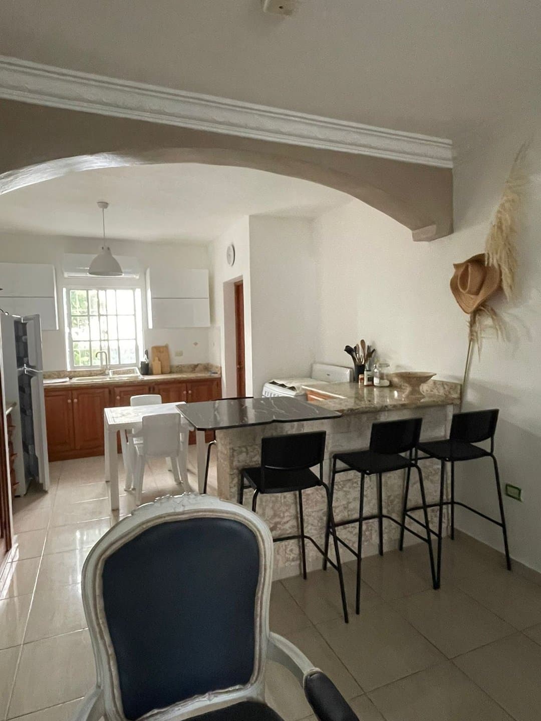 Palm Suites 2 BR condo in walking distance to the beach, fully furnished - El Cortecito - Image 1