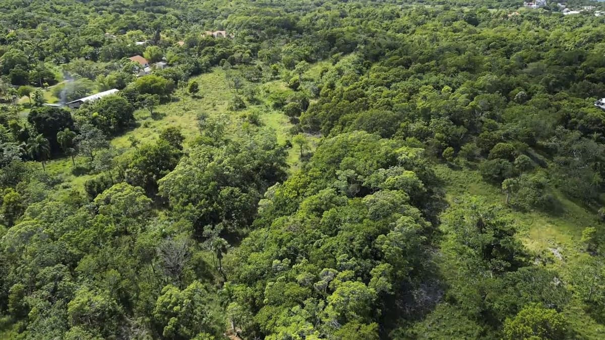 76 Acres Prime Development Land L 4082 LM - Image 2