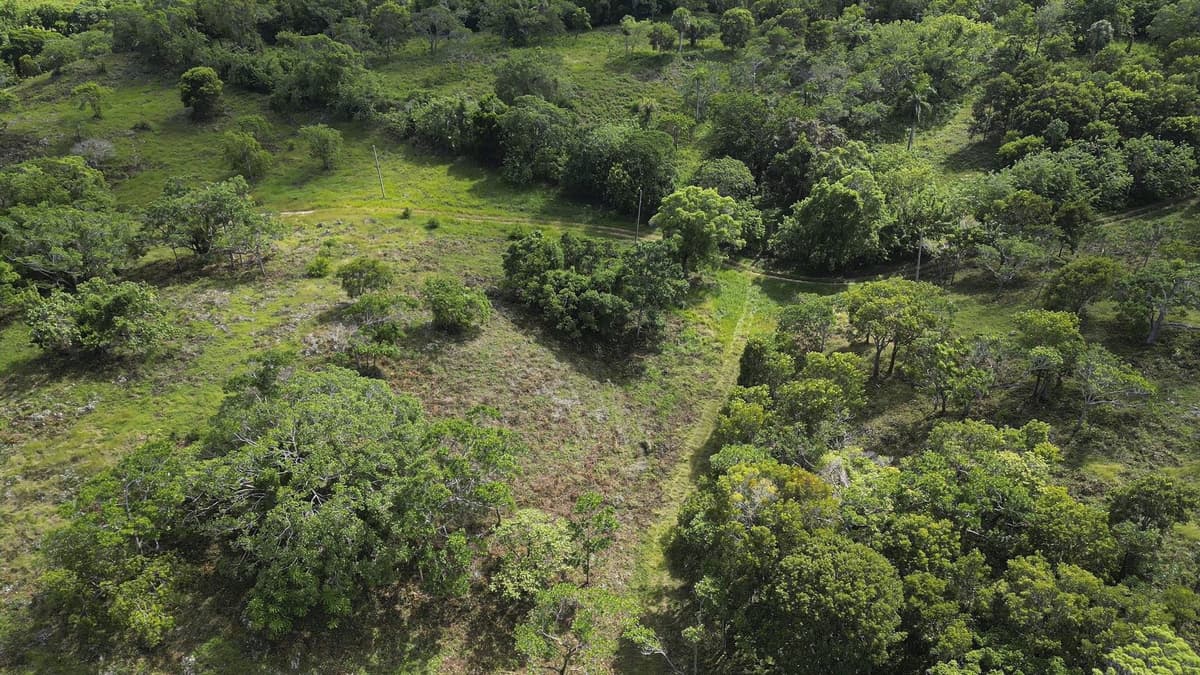 76 Acres Prime Development Land L 4082 LM - Image 5