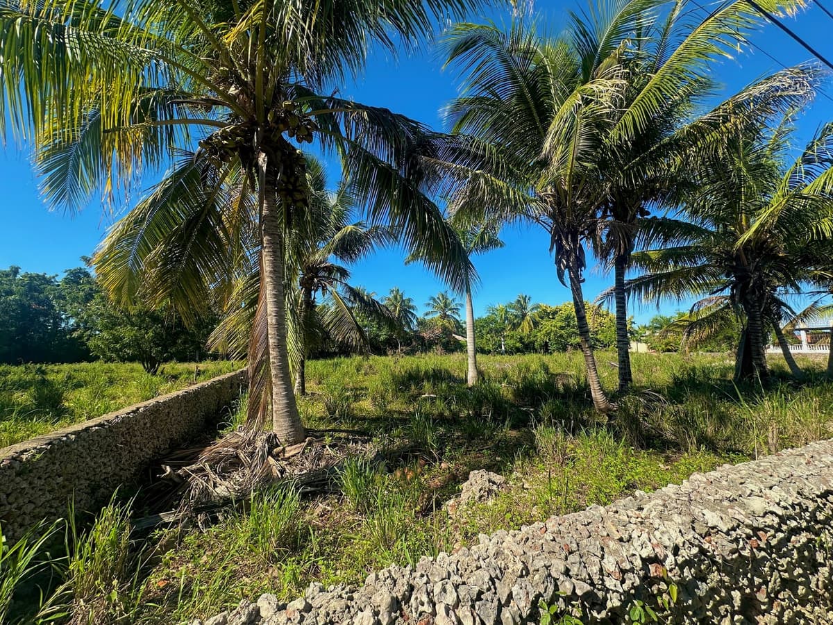 Lot for sale Lomas Mironas - Sosua Cabarete Real Estate - Image 3