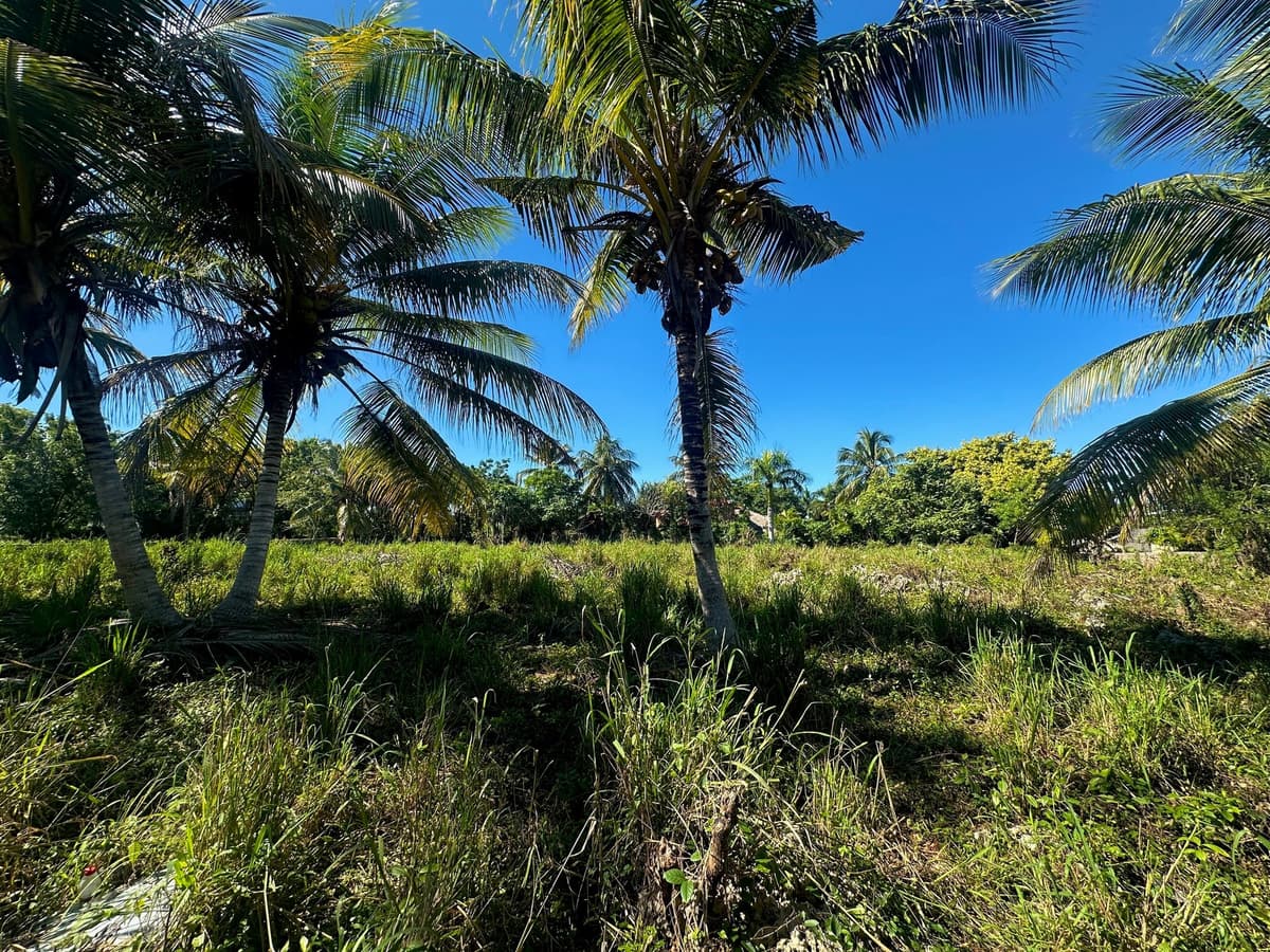 Lot for sale Lomas Mironas - Sosua Cabarete Real Estate - Image 2