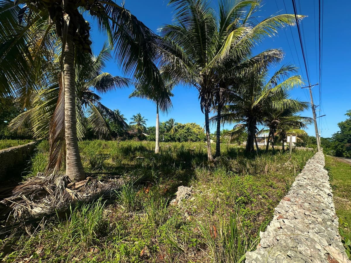 Lot for sale Lomas Mironas - Sosua Cabarete Real Estate - Image 4