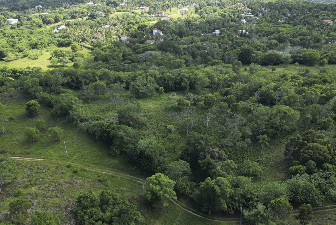 76 Acres Of Awesome Development Land For Sale In Sosua - Image 3