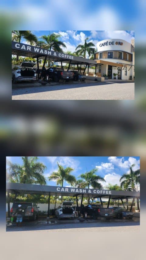 Coffee shop / Bakery / Car-wash & turnkey business opportunity for sale - Bavaro - Image 5