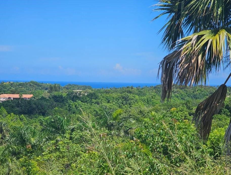 Massive 2628m² Ocean-View Lot Panorama Village | buyDRproperty