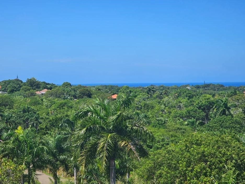 Massive 2628m² Ocean-View Lot Panorama Village | buyDRproperty - Image 5
