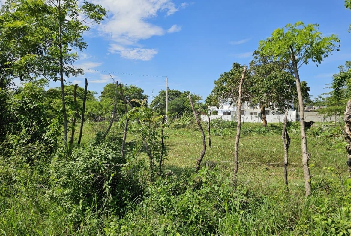 700m² Sosua Building Lot for Sale | Walk to Ocean | $98,000 - Image 2