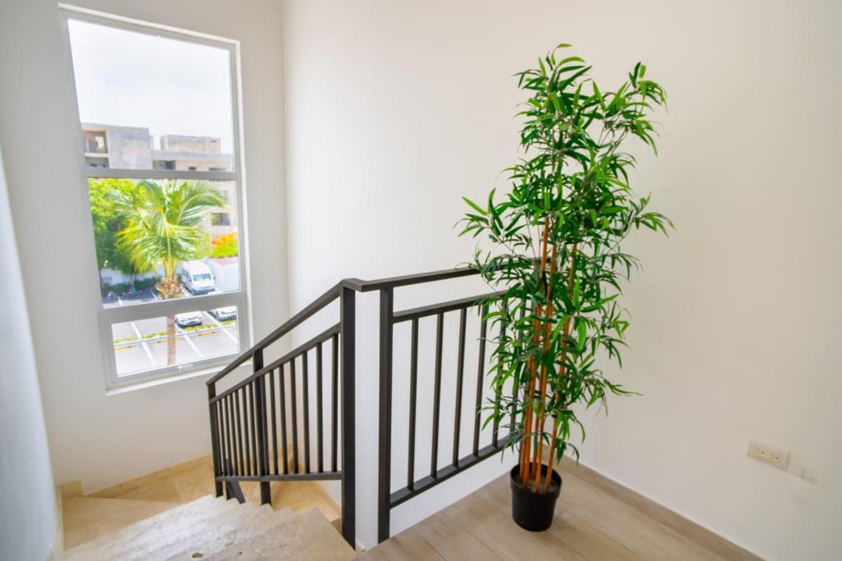 Coral Village I spacious 3 BR penthouse - El Cortecito - Image 5