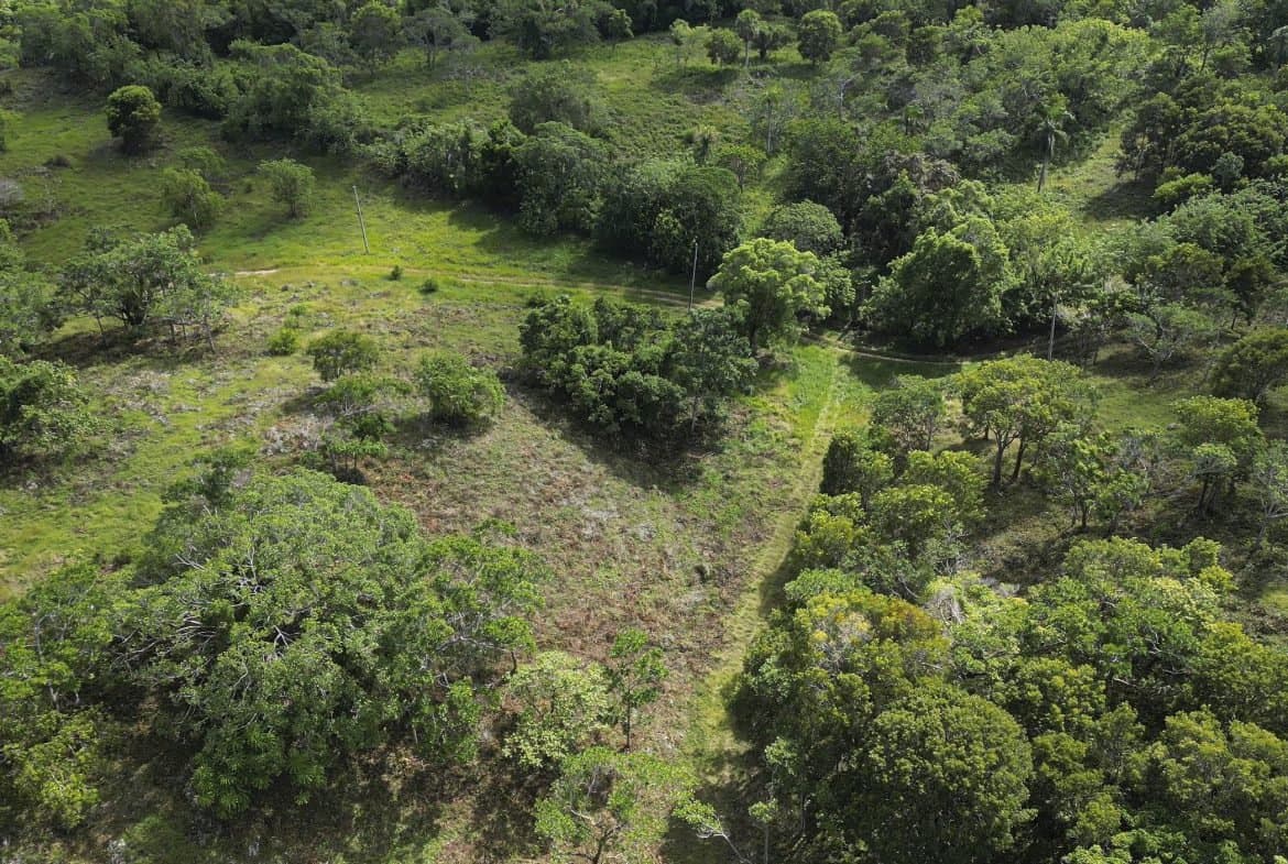 76 Acres Of Awesome Development Land For Sale In Sosua - - Image 5