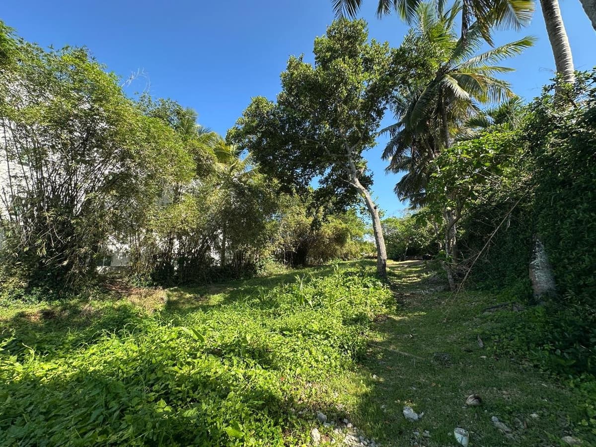 Rare Oceanfront Lot in Playa Laguna, Sosúa - Image 5