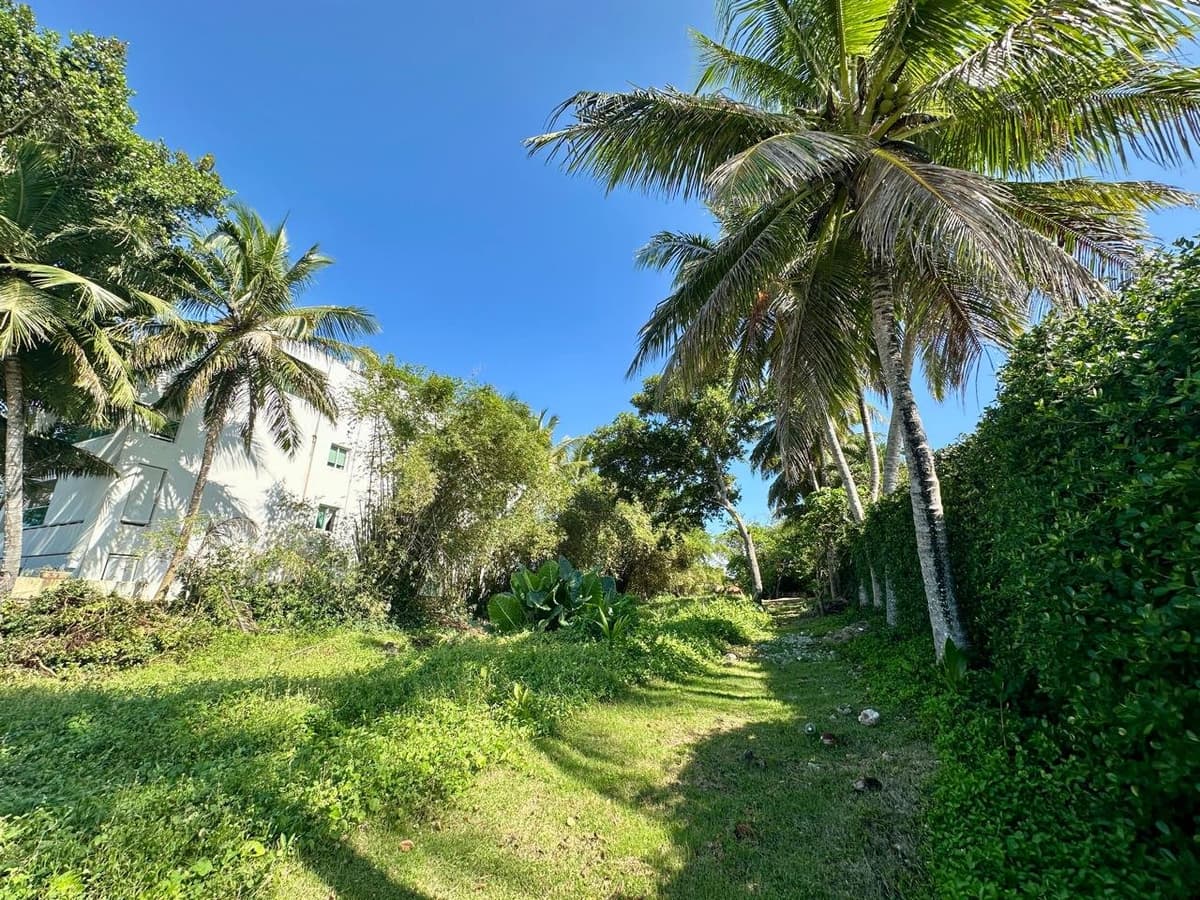 Rare Oceanfront Lot in Playa Laguna, Sosúa - Image 4