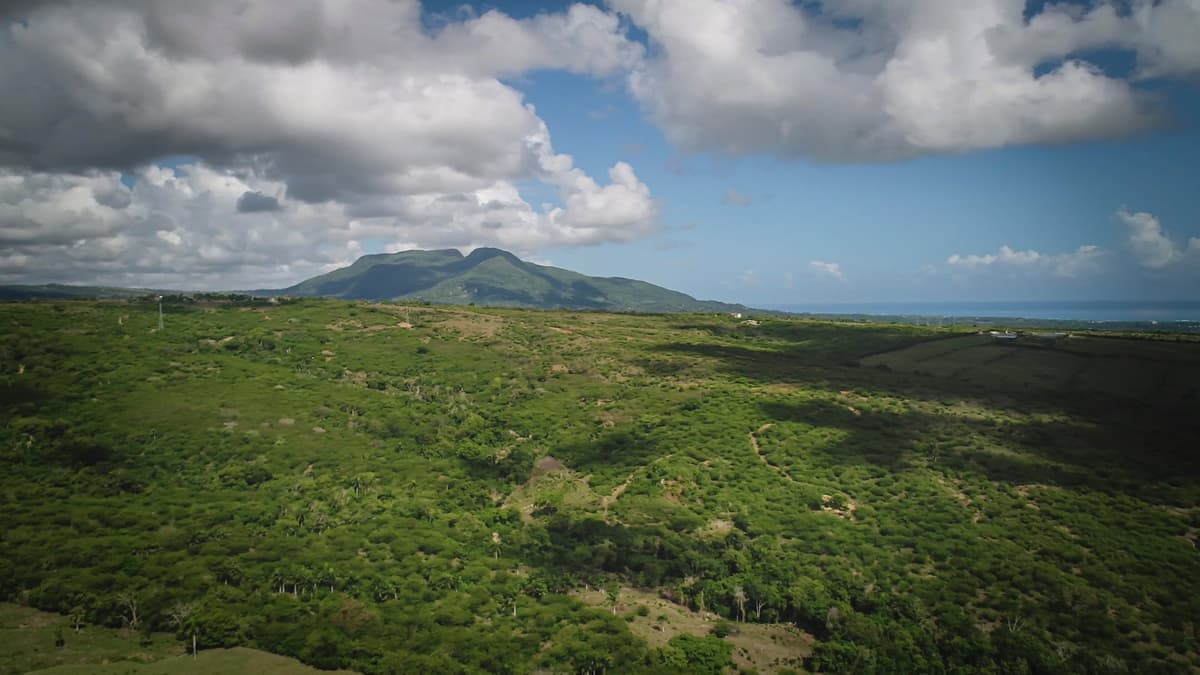 Beautiful 22 Acres of Development Property For Sale! - - Image 3