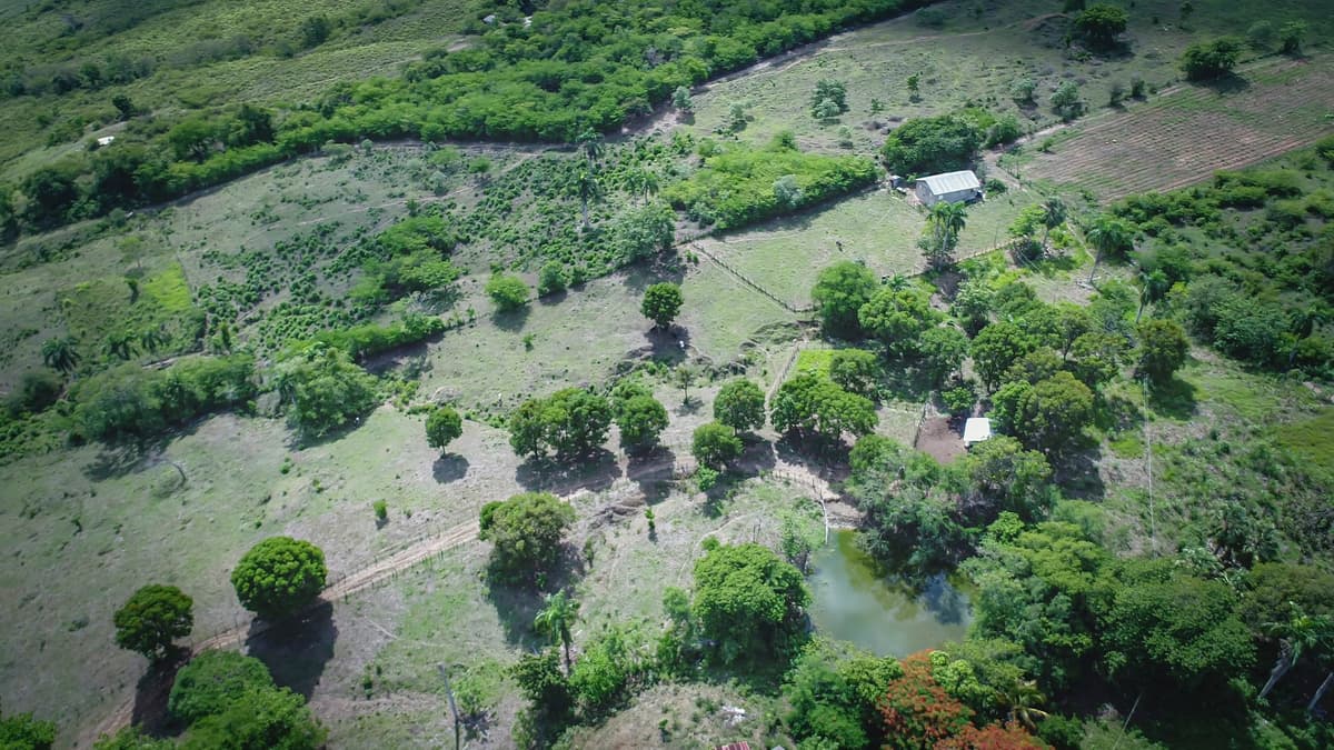 Beautiful 22 Acres of Development Property For Sale! -