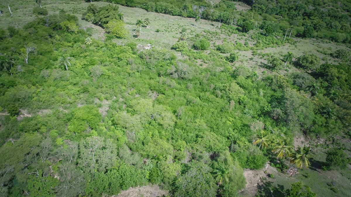 Beautiful 22 Acres of Development Property For Sale! - - Image 2