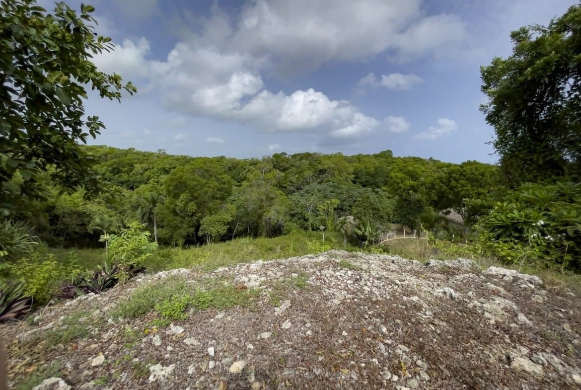 Large Building Lot for Sale with Ocean Views | Sosúa Real Estate - Image 3